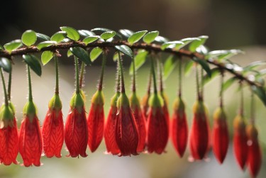 中山民众私人快速借钱网，轻松解决资金难题
