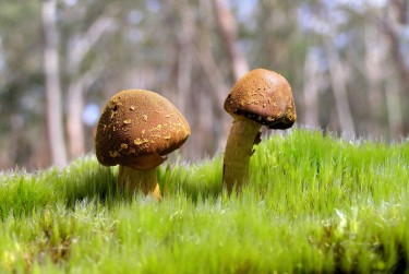 中山民众私人老板放款：轻松融资的秘密通道